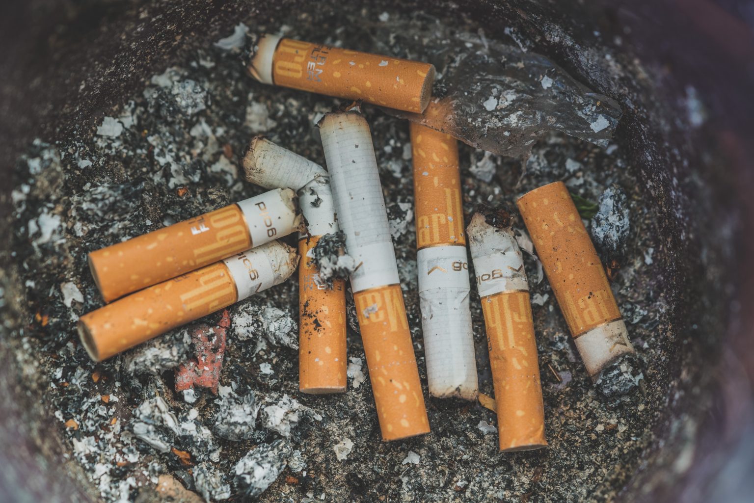 discarded cigarette butts in a bin