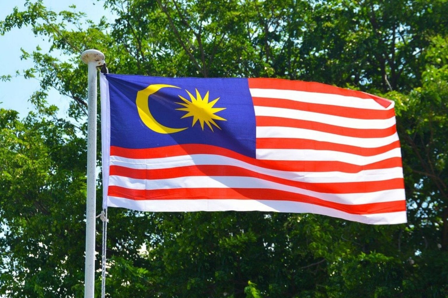 the Malaysian flag